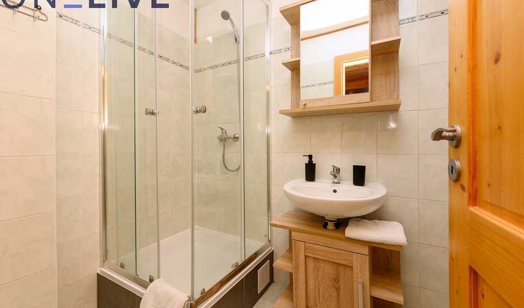 Prodej komerčního objektu (jiného typu) 500 m², Železná Ruda – náhled fotky 11