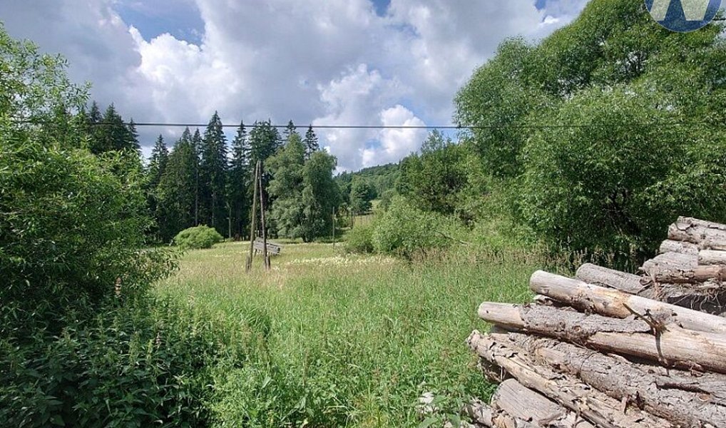 Prodej louky 18 127 m², Stožec – náhled fotky 4