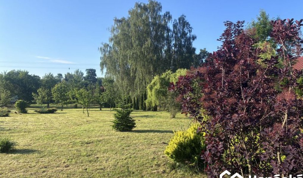 Prodej zahrady 3 994 m², Bělotín – náhled fotky 3
