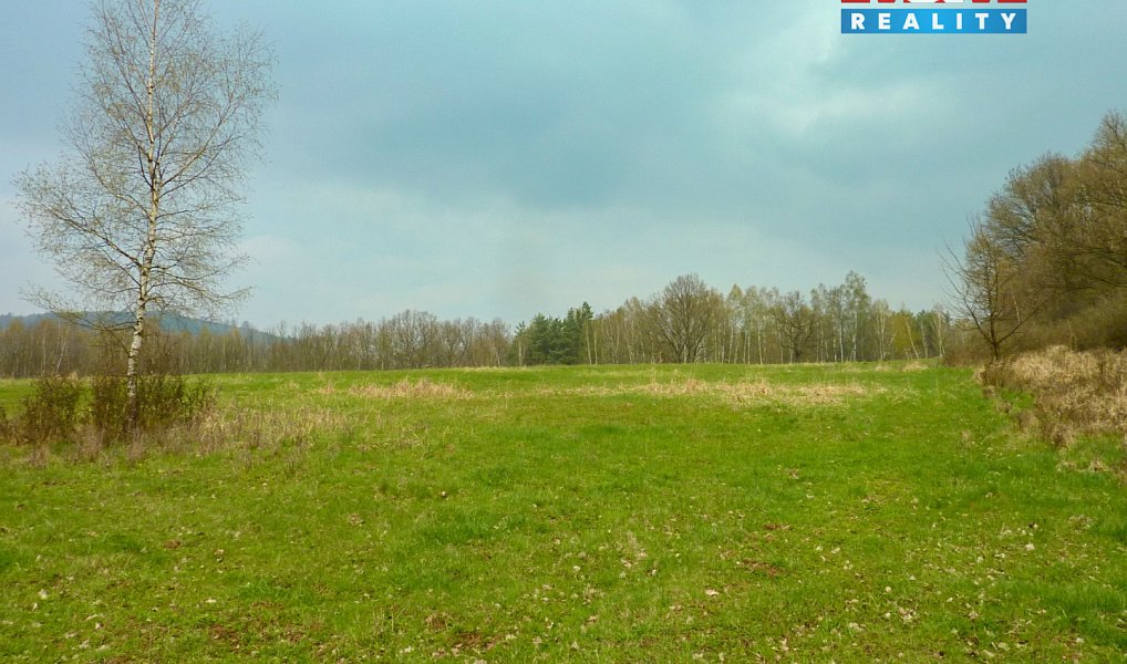 Prodej louky 55 278 m², Stružnice – náhled fotky 2