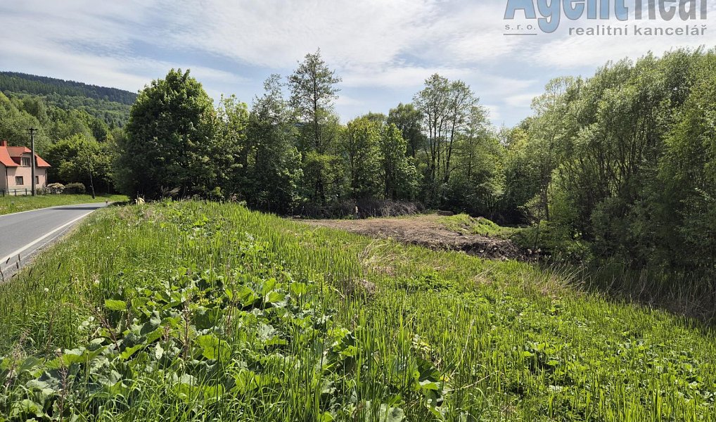 Prodej stavebního pozemku 14 183 m², Vernířovice – náhled fotky 4