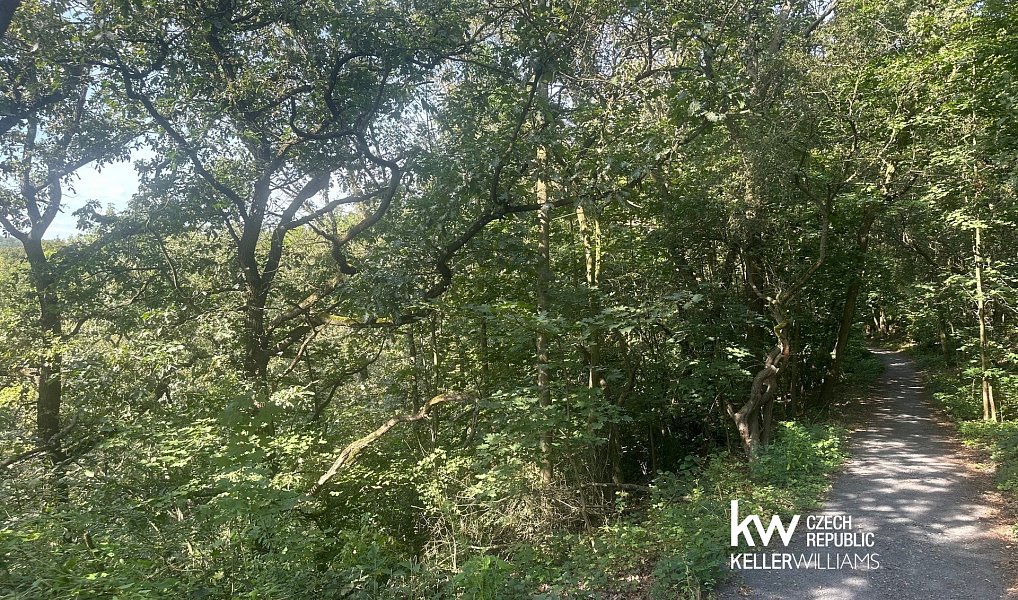 Prodej pozemku 22 760 m², Bílina – náhled fotky 2