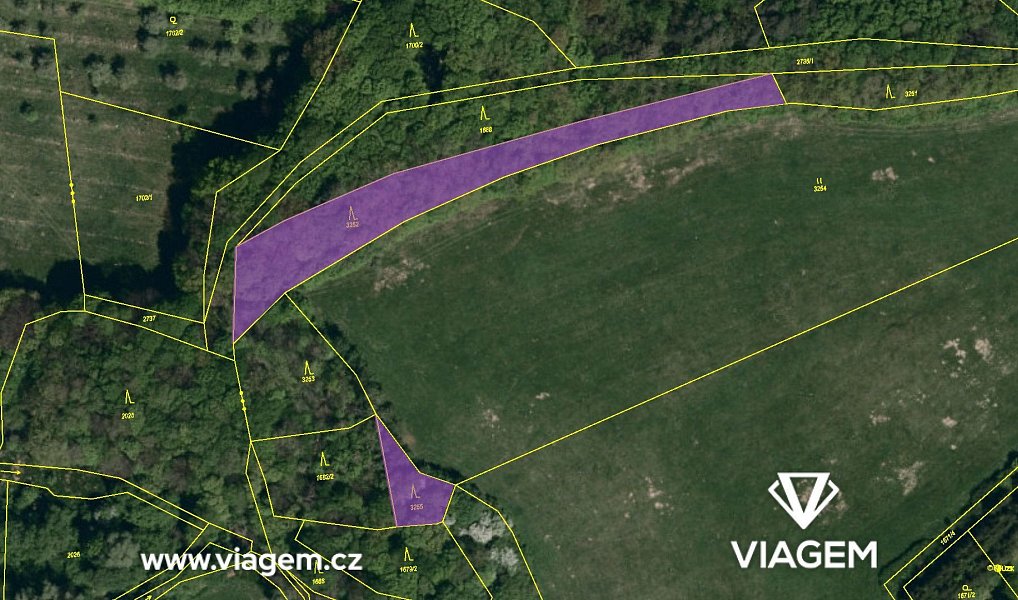 Prodej lesa 1 301 m², Bohuslavice nad Vláří – náhled fotky 4