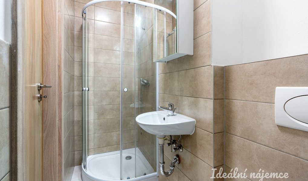 Pronájem bytu 1+kk 24 m², Praha – náhled fotky 5