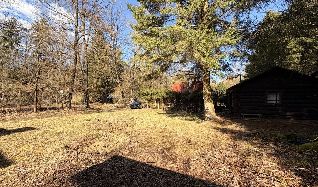 Prodej chaty/chalupy 20 m² s pozemkem 220 m², Římov – náhled fotky 6