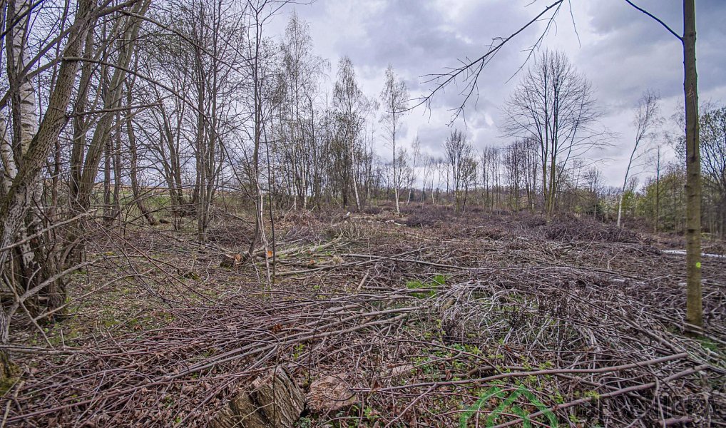 Prodej pole 6 787 m², Mikulovice – náhled fotky 8