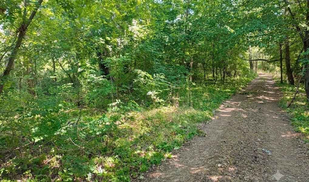 Prodej pole 5 202 m², Znojmo – náhled fotky 7