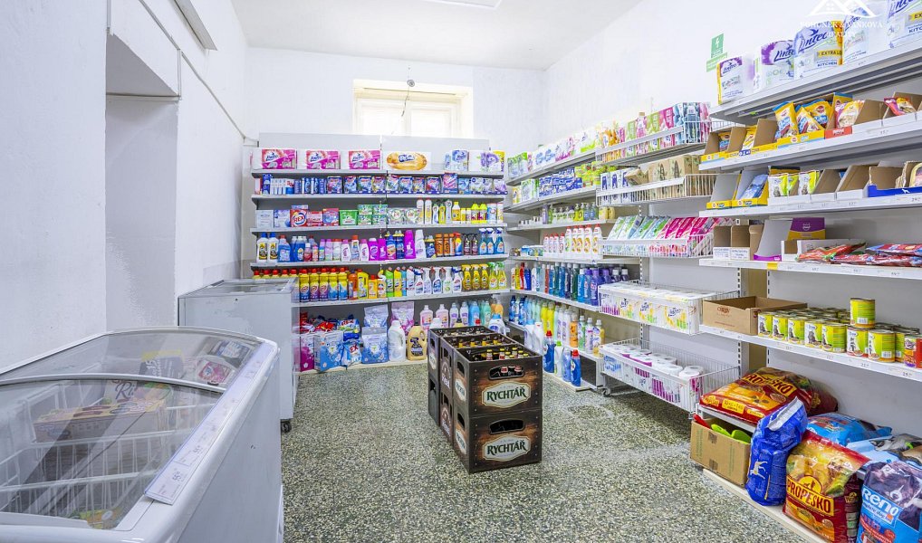 Prodej domu 580 m² s pozemkem 997 m², Skuteč – náhled fotky 5