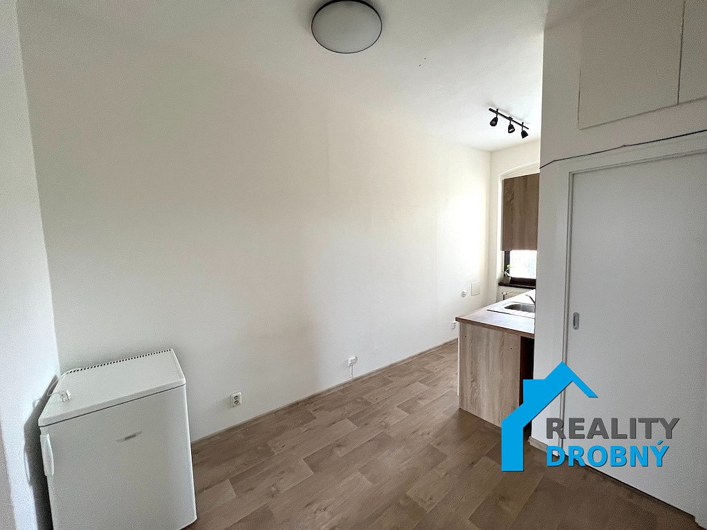 Pronájem bytu 1+1 36 m² – fotografie 4