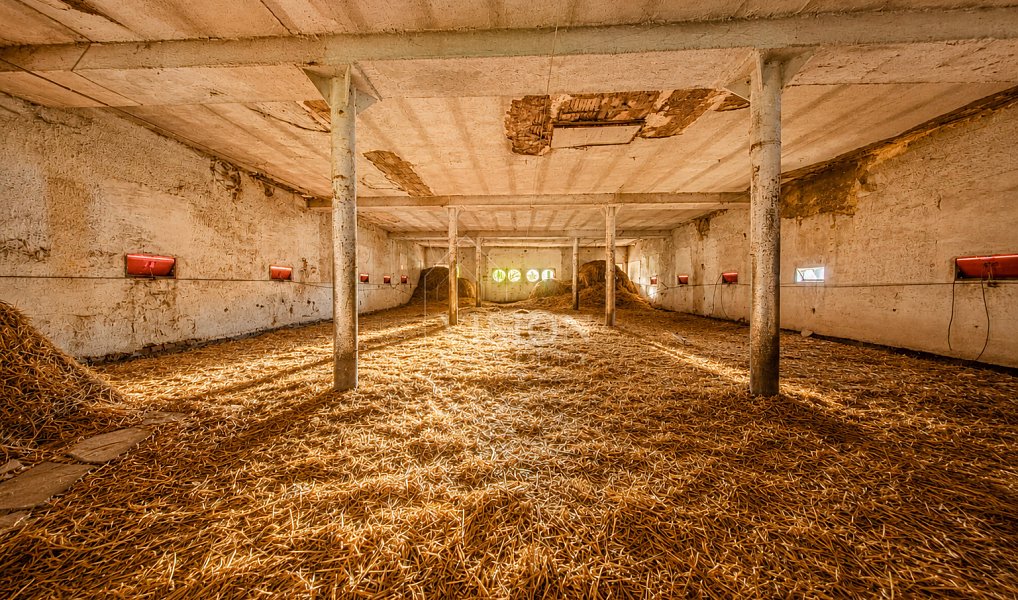 Prodej výrobních prostor 800 m², Radomyšl – náhled fotky 5