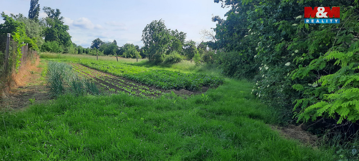 Prodej zahrady 1 622 m² — photo 2