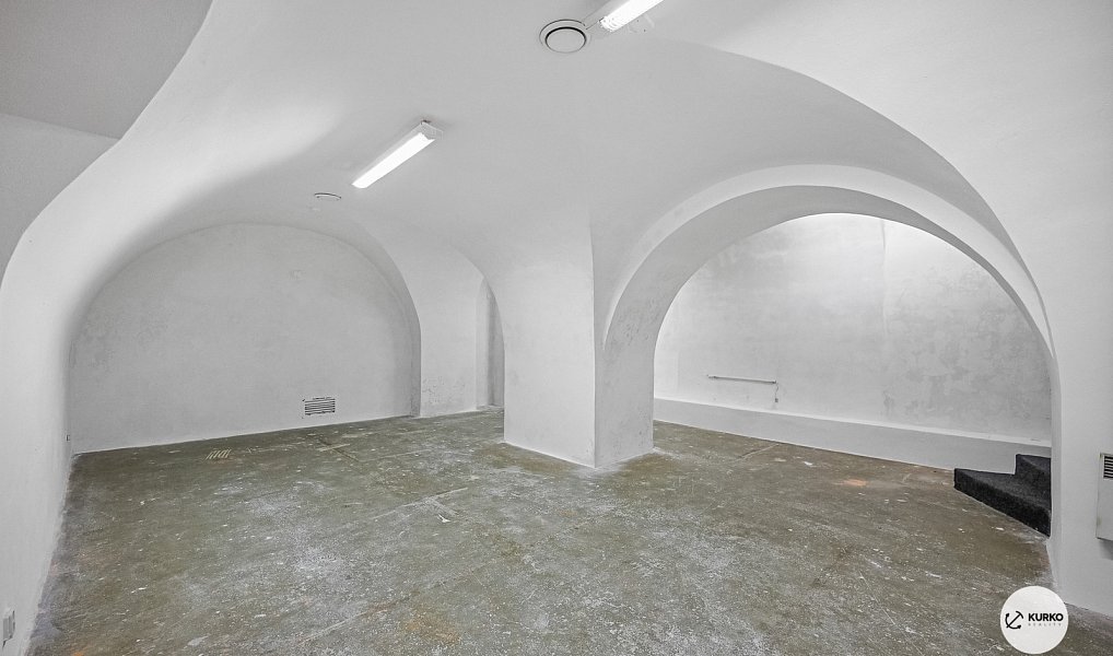 Prodej obchodních prostor 1 670 m², Opava – náhled fotky 4