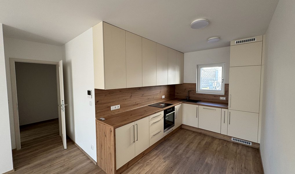 Pronájem bytu 2+kk 61 m², Nepomuk – náhled fotky 2