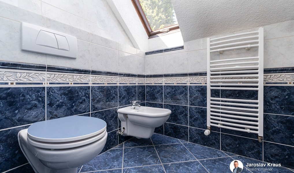 Prodej domu 250 m² s pozemkem 769 m², Nechanice – náhled fotky 21