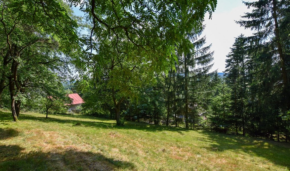Prodej zahrady 1 015 m², Stříbrná Skalice – náhled fotky 5