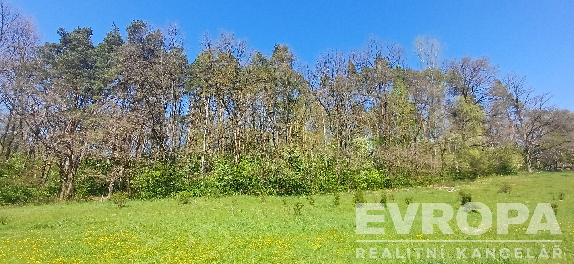 Fotka 6 z 9