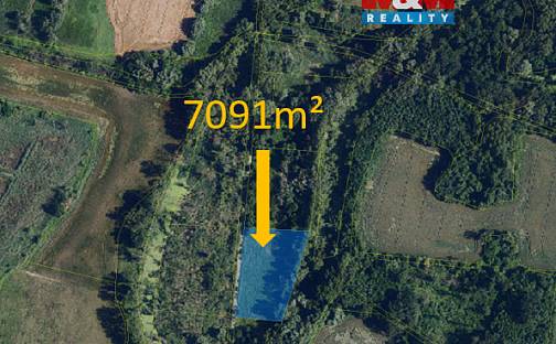 Prodej louky 7 091 m², Hrabětice, okres Znojmo