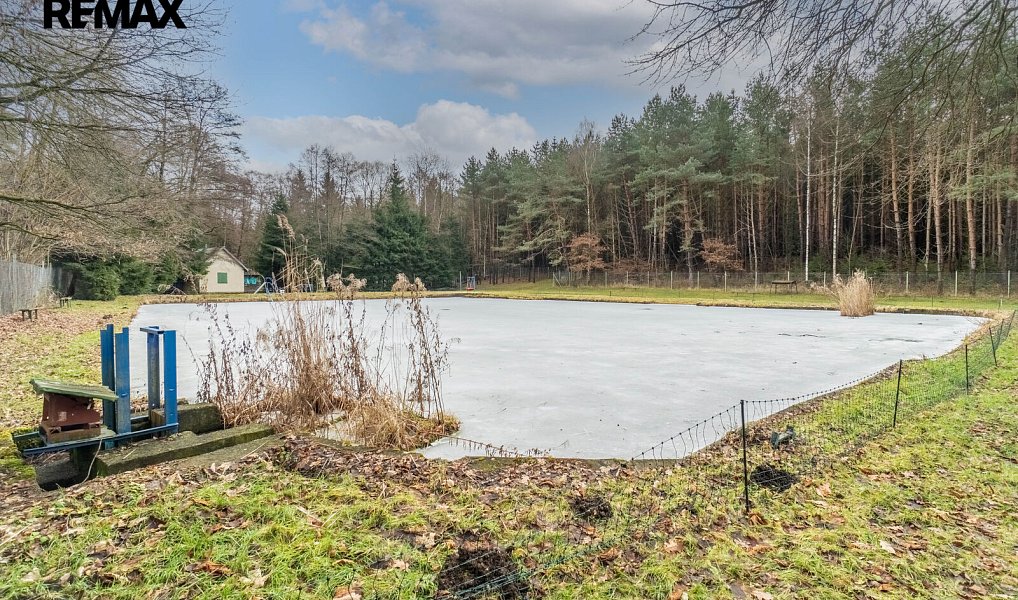 Prodej chaty/chalupy 100 m² s pozemkem 13 525 m², Říčany – náhled fotky 20