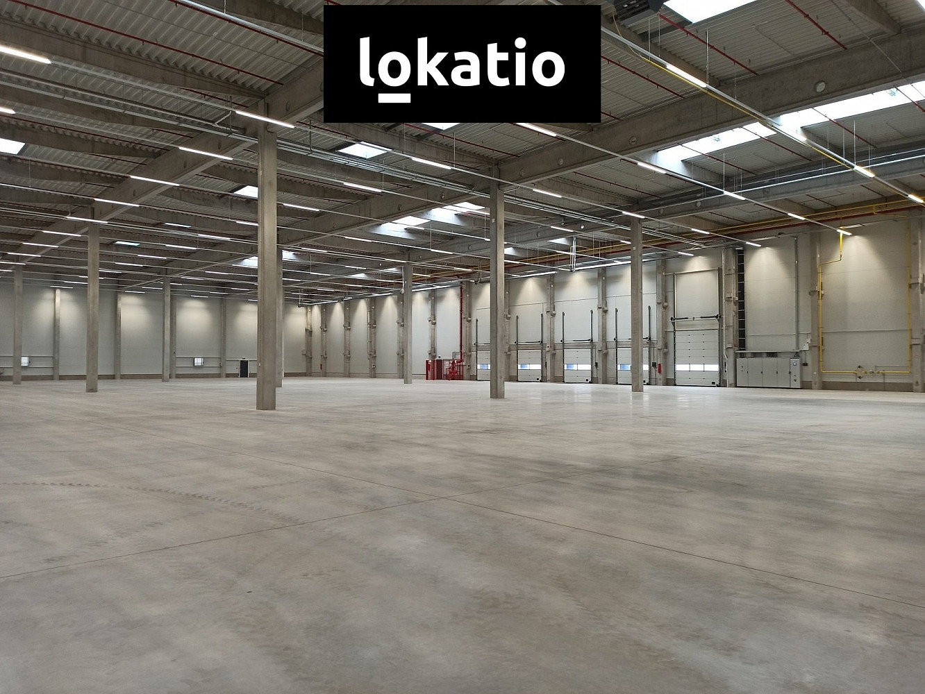 Pronájem skladovacích prostor 8 000 m² – fotografie 4