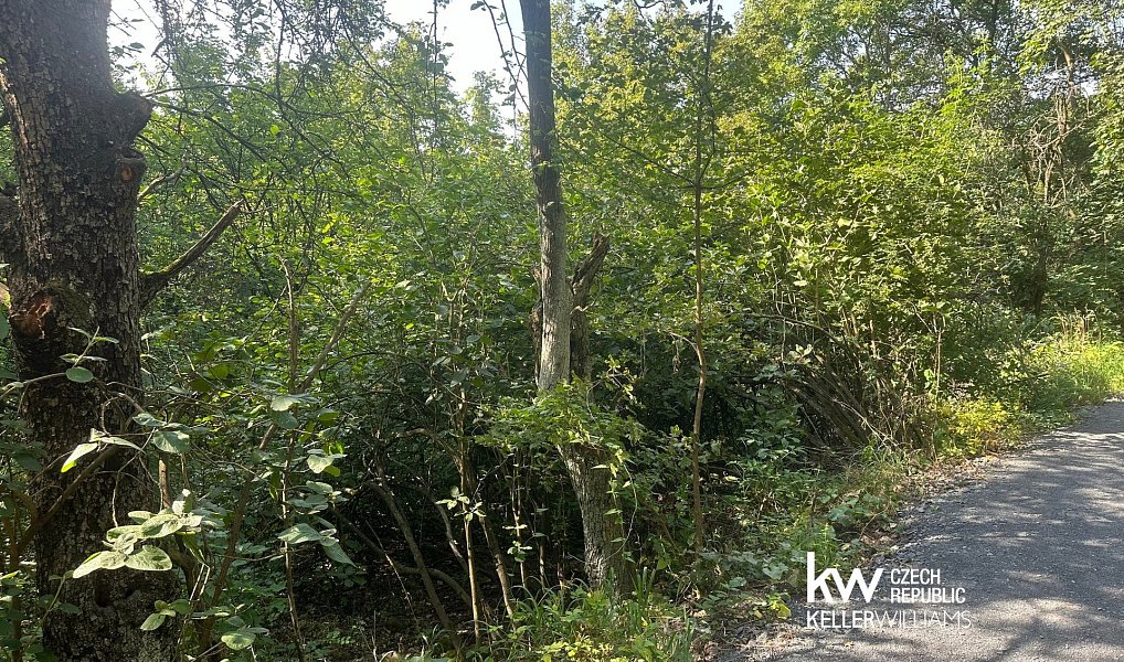 Prodej pozemku 22 760 m², Bílina – náhled fotky 10