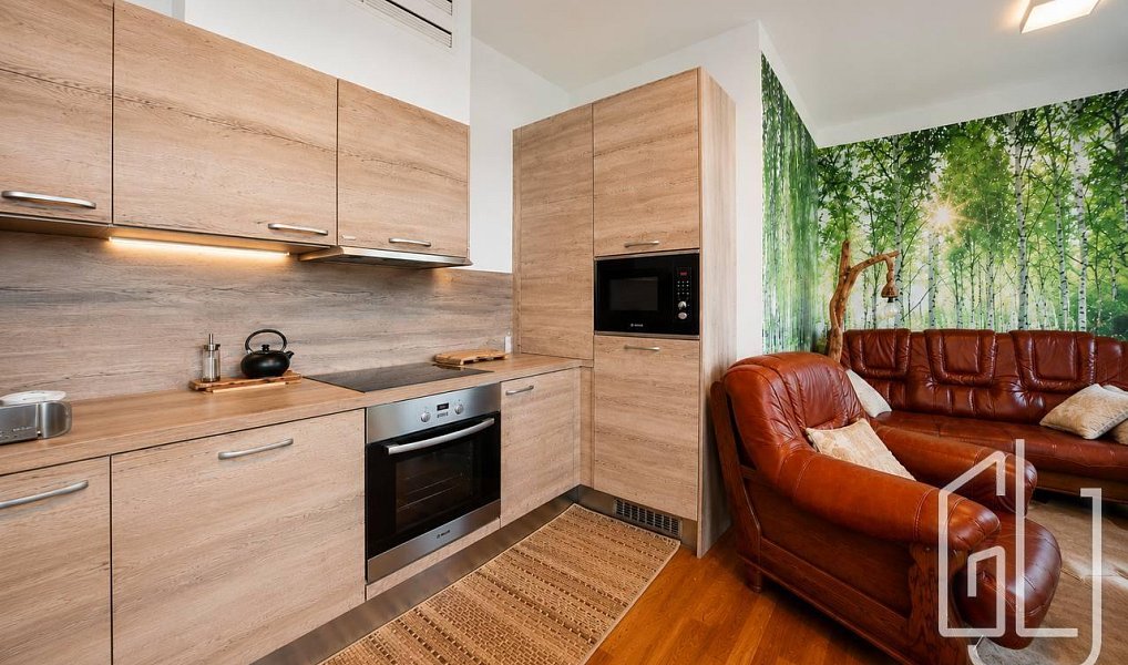 Pronájem bytu 2+kk 75 m², Praha – náhled fotky 4