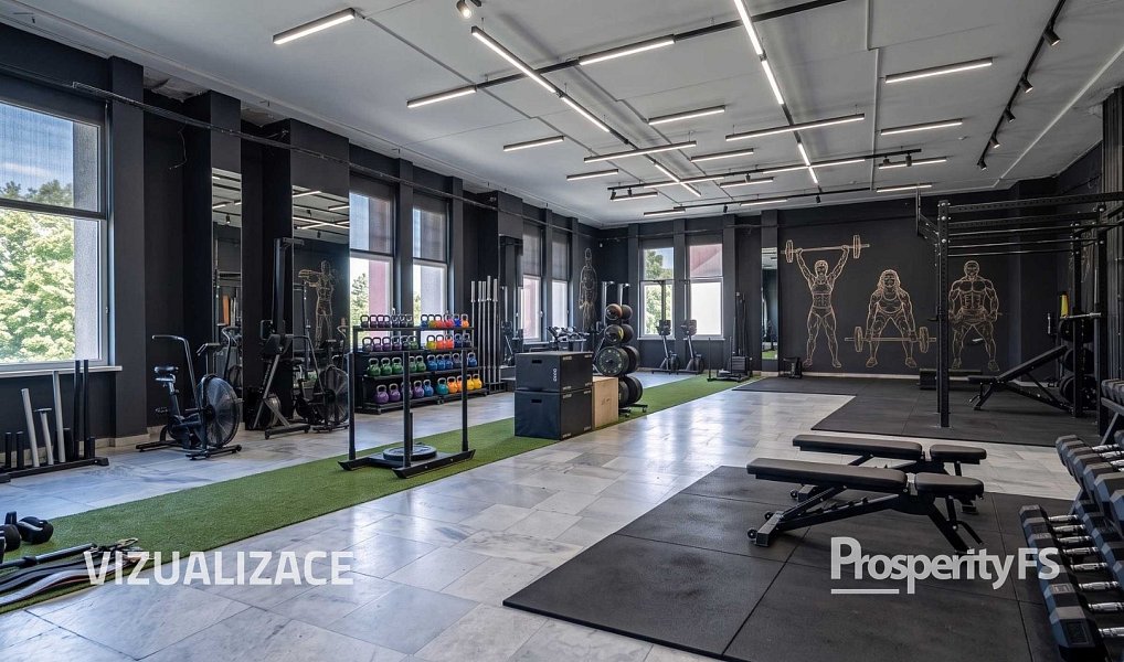 Prodej obchodních prostor 1 500 m², Český Těšín – náhled fotky 6