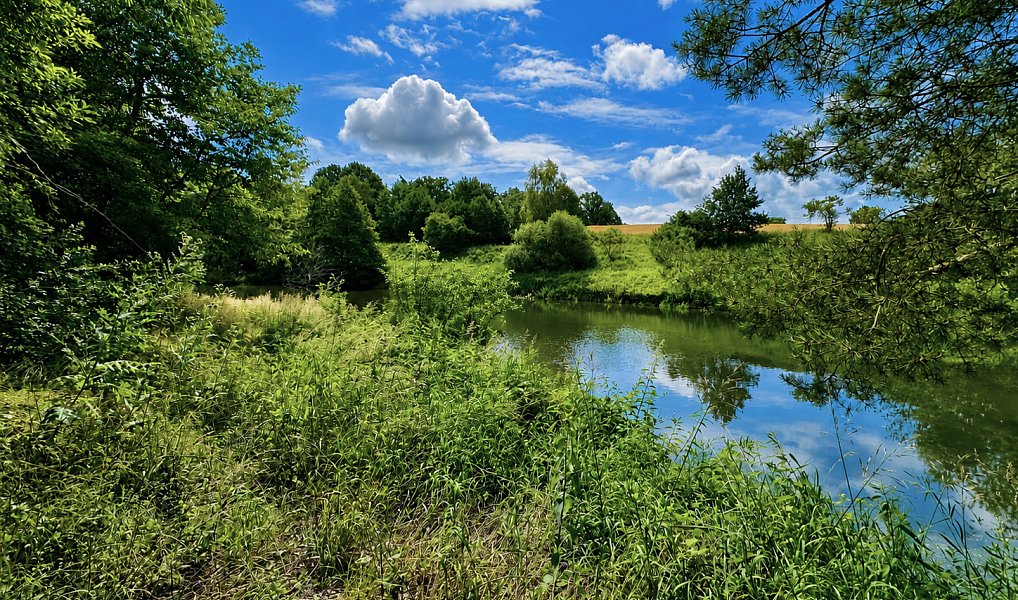 Prodej vodní plochy 25 771 m², Dačice – náhled fotky 14