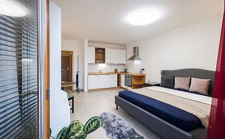 Pronájem bytu 1+kk 30 m²