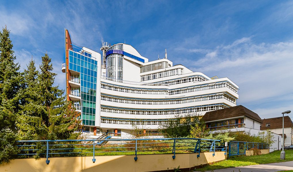 Pronájem komerčního prostoru, 345 m², Praha-východ, Zdiby