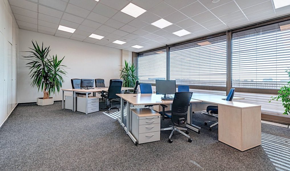Pronájem obchodních prostor 653 m², Praha – náhled fotky 2