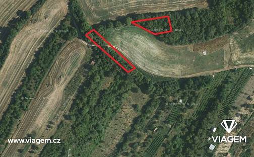 Prodej zahrady 884 m², Kyjov, okres Hodonín