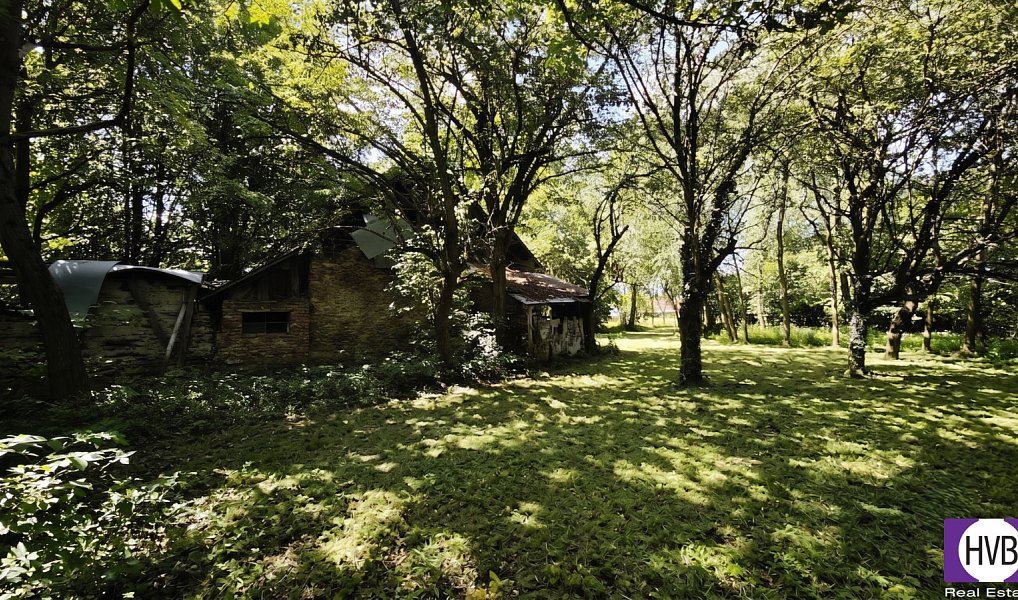 Prodej domu 105 m² s pozemkem 3 600 m², Suchdol – náhled fotky 8