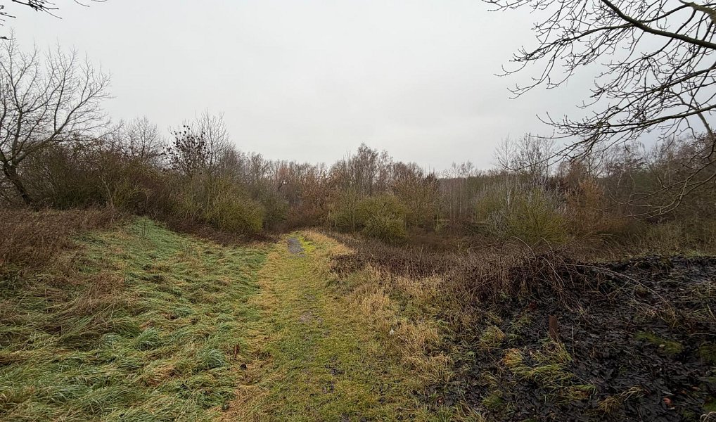 Prodej komerčního pozemku 15 490 m², Zabrušany – náhled fotky 6