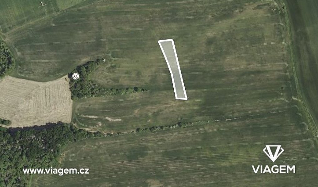 Prodej pole 328 m², Dobříč – fotka 1 z 5