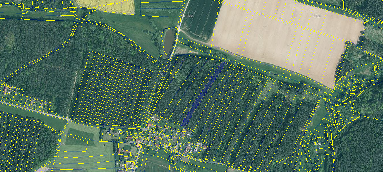 Prodej lesa 5 161 m²