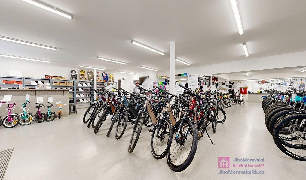 Prodej obchodních prostor 639 m², Březí – náhled fotky 4