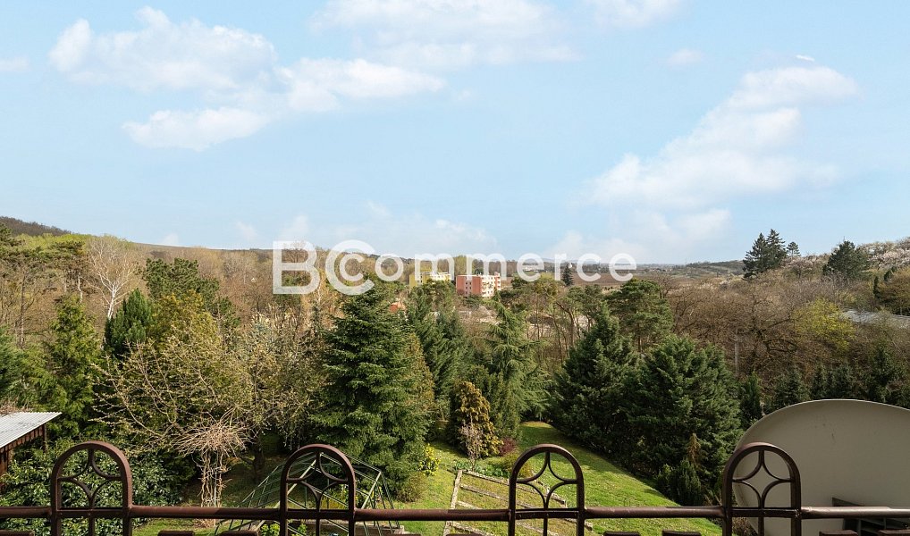Prodej domu 270 m² s pozemkem 4 446 m², Dolní Kounice – náhled fotky 30