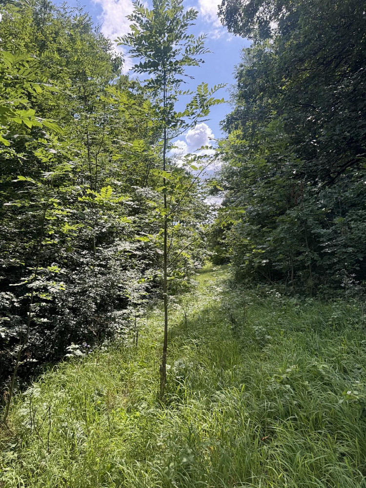 Fotka 15 z 19