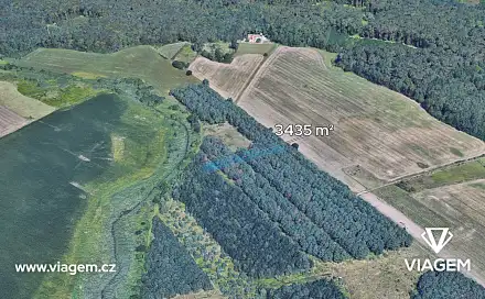 Prodej lesa 3 435 m², Břeclav