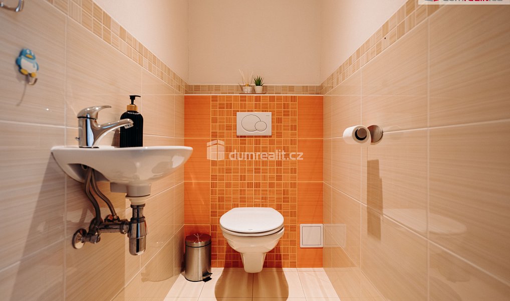 Prodej domu 160 m² s pozemkem 272 m², Břeclav – náhled fotky 12