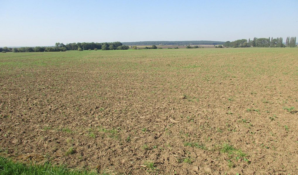 Prodej pole 7 913 m², Obecnice – náhled fotky 4