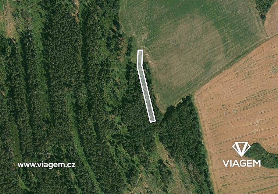 Prodej lesa 1 490 m², Blížejov