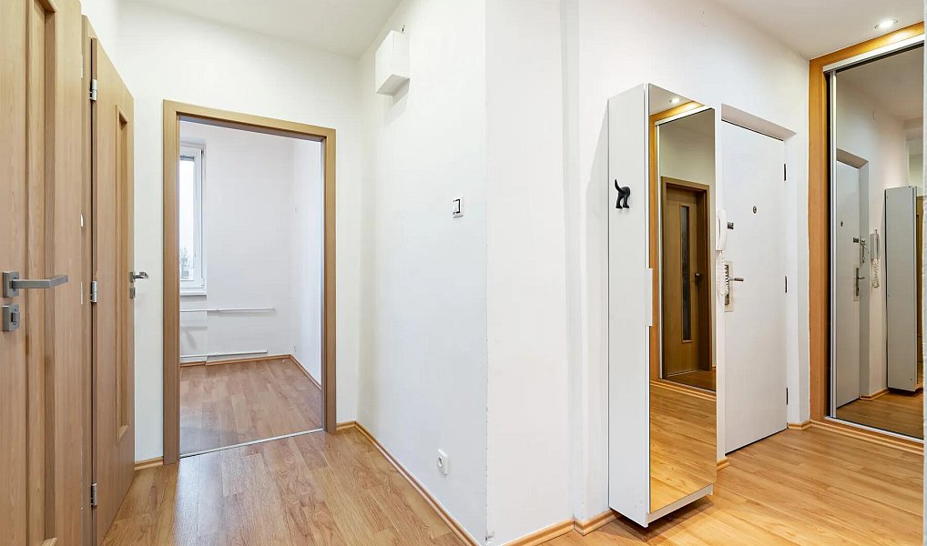 Prodej bytu 2+1 60 m², Plzeň – náhled fotky 11