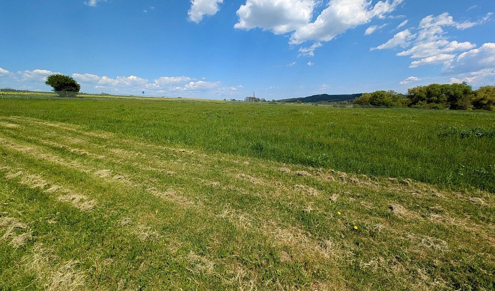 Prodej výrobních prostor 60 000 m², Podbořany – náhled fotky 6