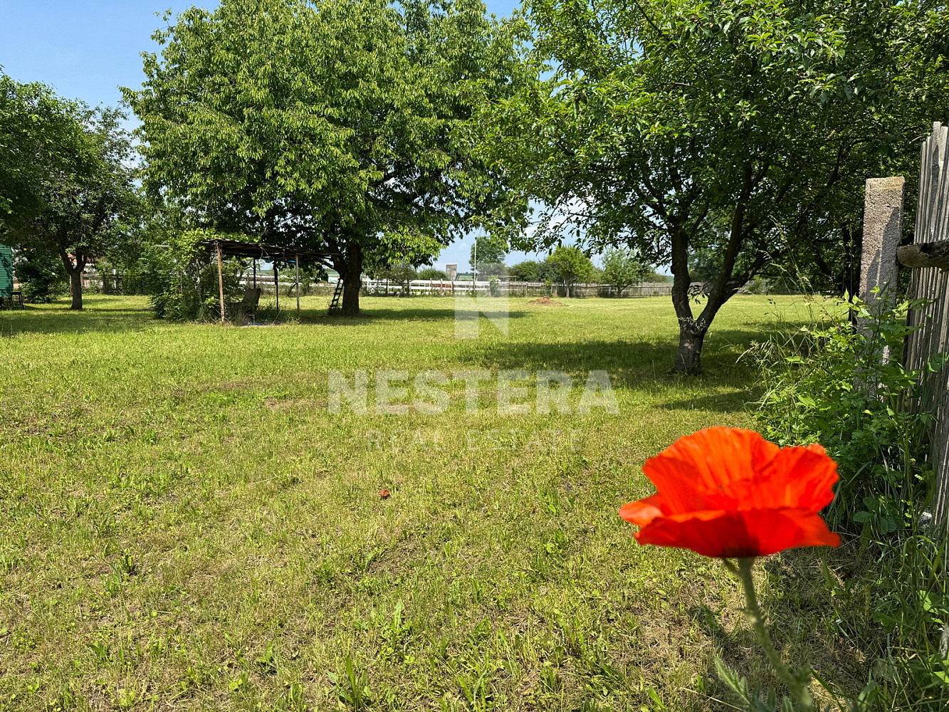 Fotka 19 z 22