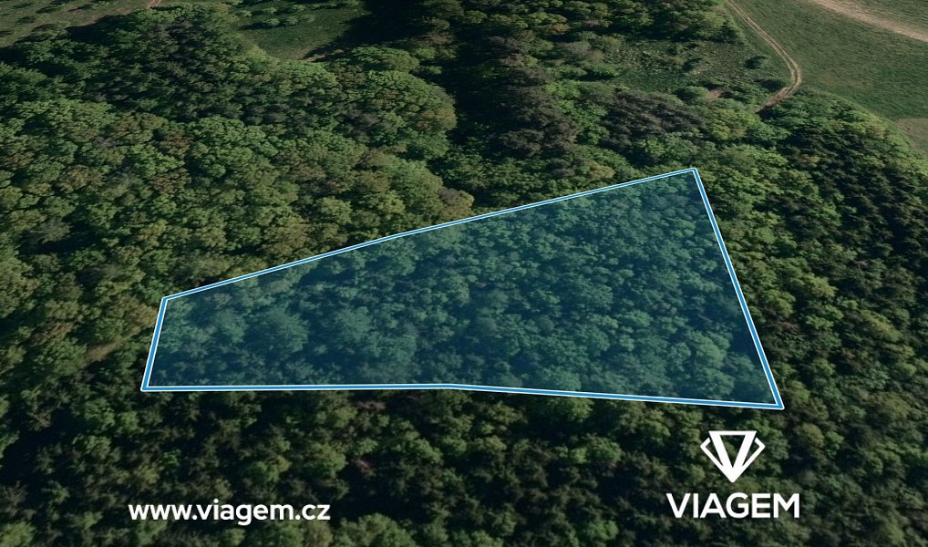 Prodej lesa 1 886 m², Vizovice – náhled fotky 2