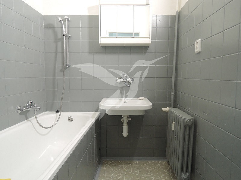 Pronájem bytu 2+1 49 m² — photo 3