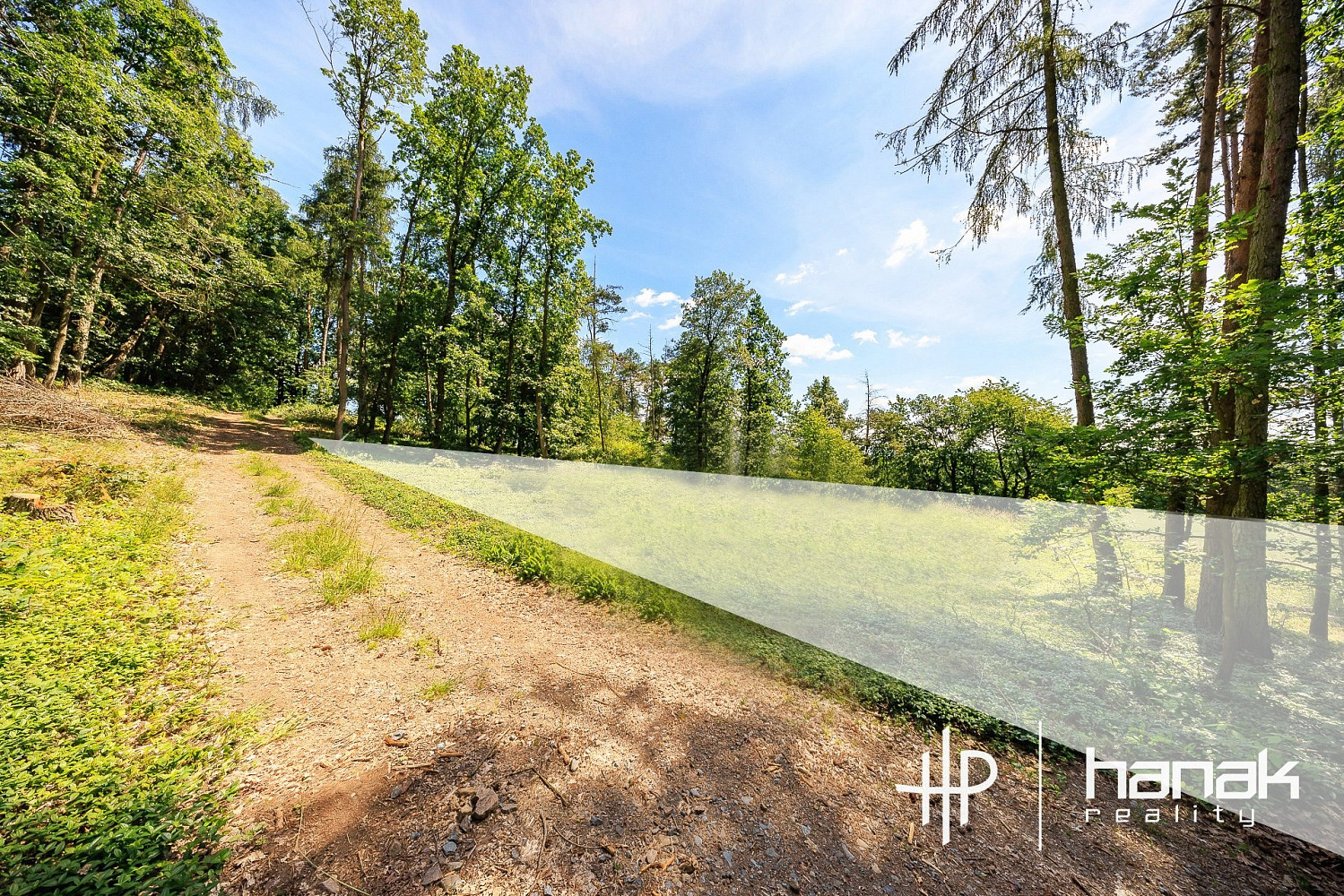 Prodej stavebního pozemku 3 150 m² – fotografie 3