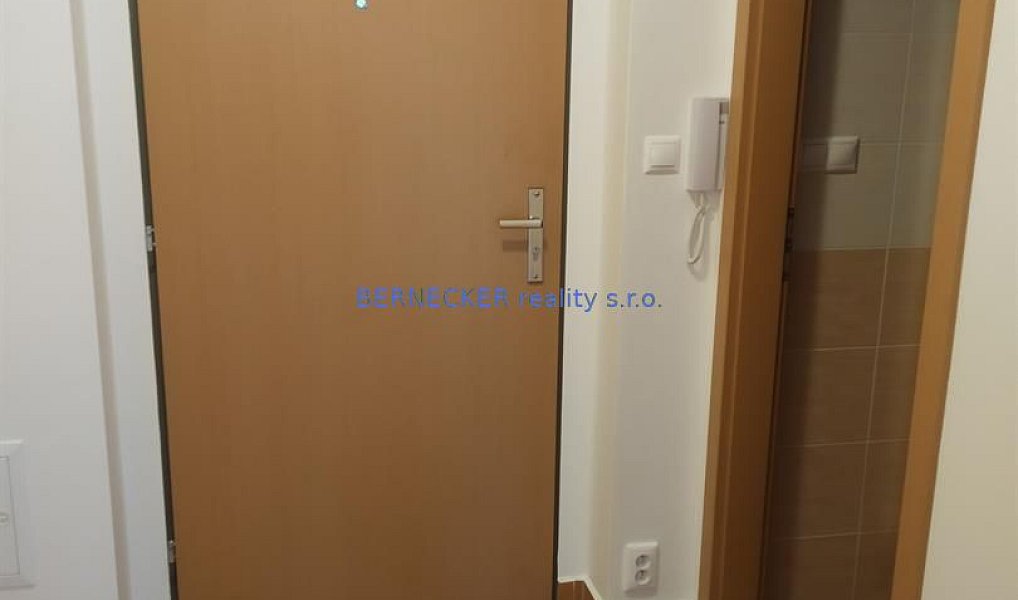Pronájem bytu 1+kk 30 m², Hradec Králové – náhled fotky 4