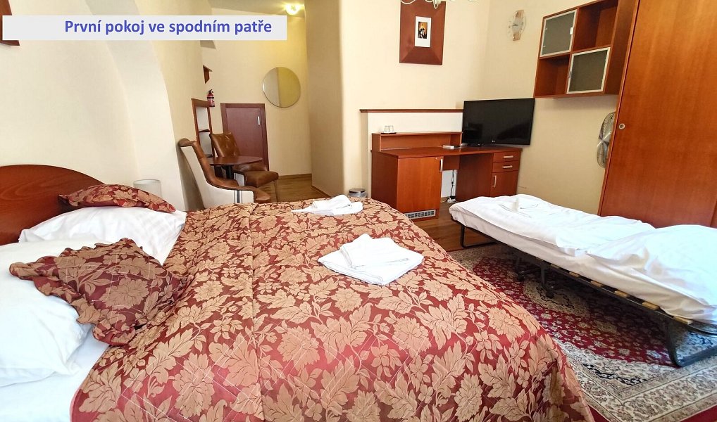 Pronájem bytu 4+kk 110 m², Plzeň – náhled fotky 3